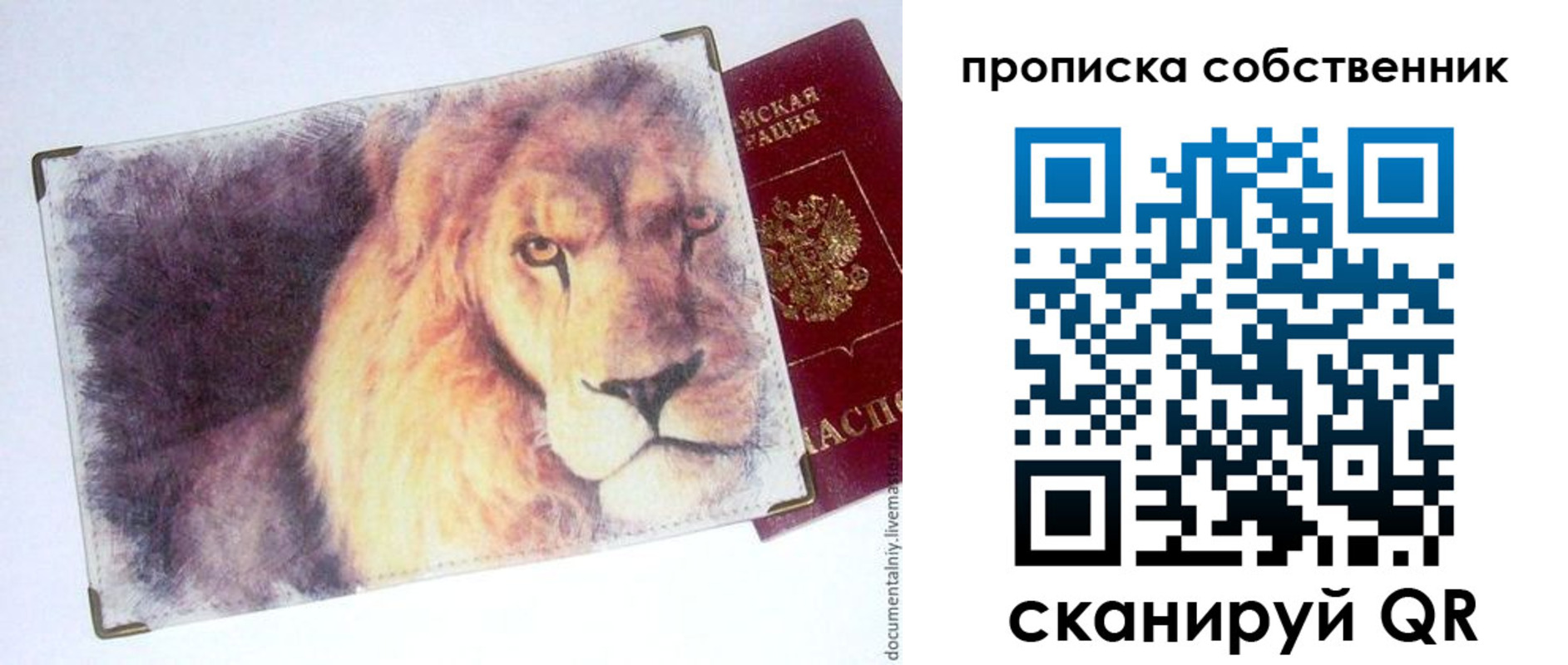 временная прописка в Оленегорске